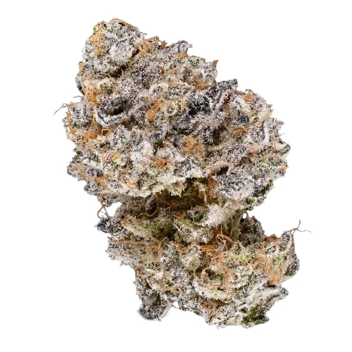 Alien Mints Strain