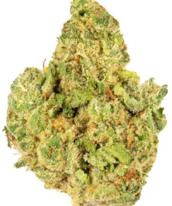 Banana Runtz Strain