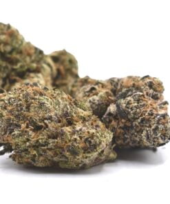 Super Runtz Strain