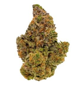 Blueberry Muffin Strain
