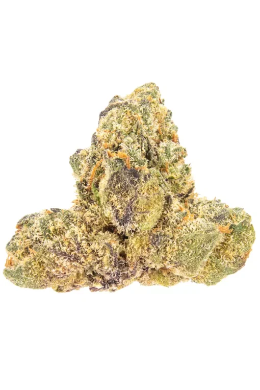 Jet fuel Gelato Strain