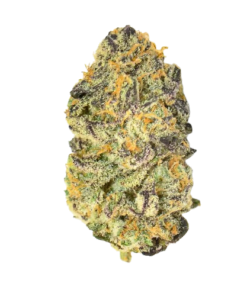 Pure Michigan Strain