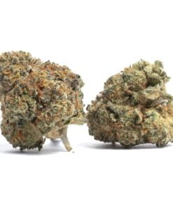 Wedding Crasher Strain