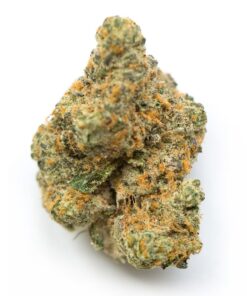 Triangle Mints Strain