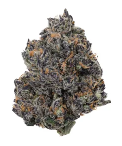 Tropicana Cherry Strain