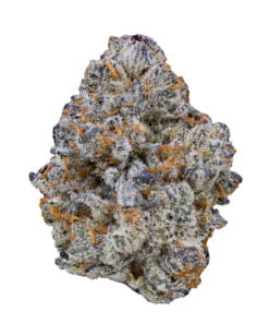Blue Cookies Strain