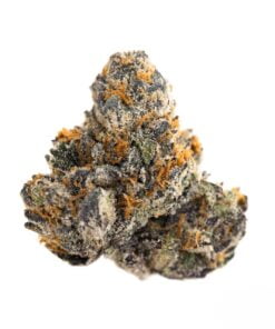 Designer Runtz Strain