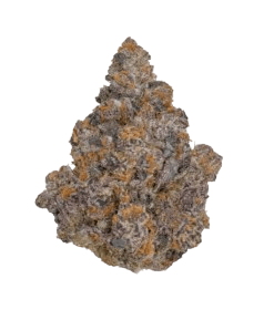 Pink Runtz Strain